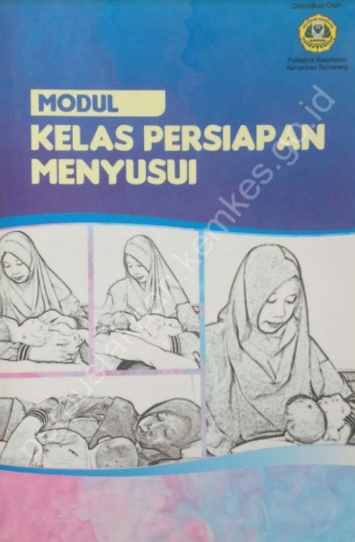 Sampul Modul Kelas Persiapan Menyusui