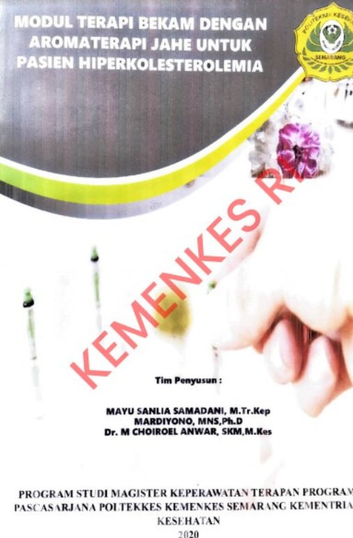 Sampul Modul Terapi Bekam Dengan Aromaterapi Jahe Untuk Pasien Hiperkolesterolemia