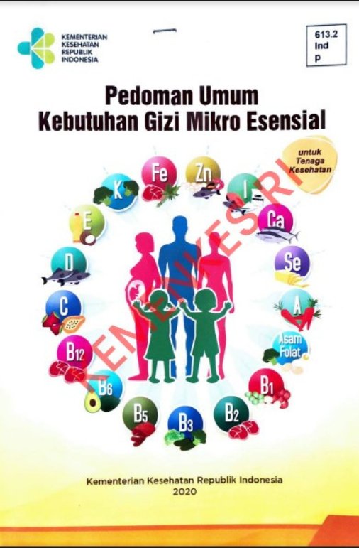 Sampul Pedoman Umum Kebutuhan Gizi Mikro Esensial Untuk Tenaga Kesehatan