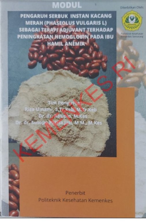 Sampul Pengaruh Serbuk Instan Kacang Merah (PHASEOLUS VULGARIS L) Sebagai Terapi Adjuvant Terhadap Peningkatan Hemoglobin Pada Ibu Hamil Anemia